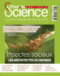 HS 126 - 01 février 2025 - Insectes sociaux : les architectes du monde vignette